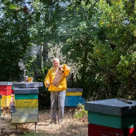 Poggio Delle Api Daire *