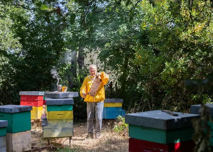 Poggio Delle Api Apartman *